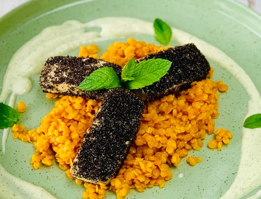 Mohn Tofu auf Curcuma Linsen mit Minze Sauce